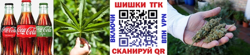 MEGA ONION  Колпашево  Canna-Cookies конопля 