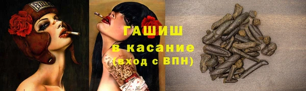 прущие грибы Магадан