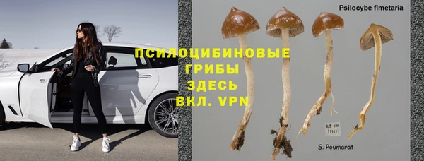 амф Карталы
