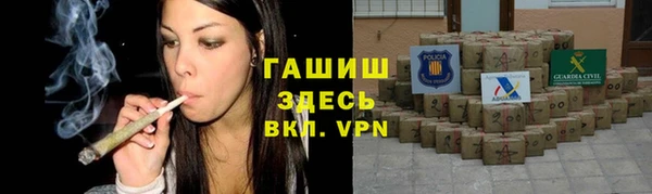 прущие грибы Магадан