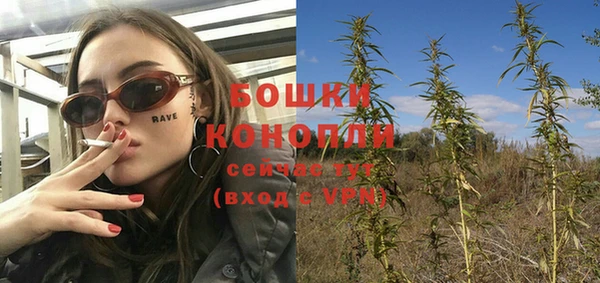 мдпв Карпинск