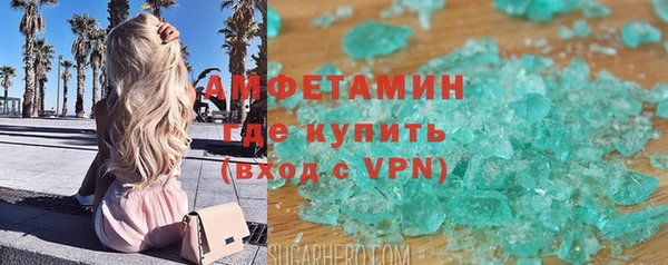 прущие грибы Магадан
