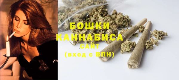 прущие грибы Магадан